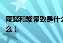 陵懿和黎景致是什么书（黎景致陵懿书名叫什么）