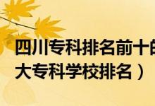 四川专科排名前十的学校2021（2022四川十大专科学校排名）