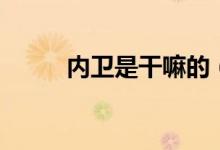 内卫是干嘛的（内卫是干什么的）