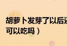 胡萝卜发芽了以后还能吃吗（胡萝卜发芽了还可以吃吗）