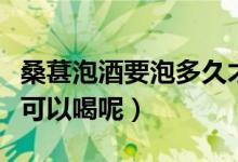 桑葚泡酒要泡多久才能喝（新鲜桑葚泡酒多久可以喝呢）
