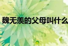 魏无羡的父母叫什么（魏无羡的父母都是谁）