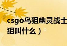 csgo鸟狙幽灵战士贴什么贴纸好看（csgo鸟狙叫什么）