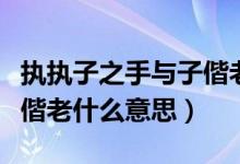 执执子之手与子偕老是什么意思（执之手与子偕老什么意思）