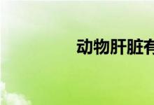 动物肝脏有什么营养价值