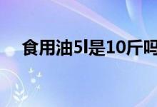 食用油5l是10斤吗（食用油5l是多少斤）