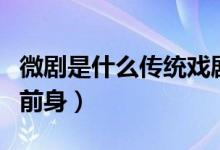 微剧是什么传统戏剧（微剧是什么传统戏剧的前身）
