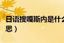 日语搜嘎斯内是什么意思（搜嘎斯内是什么意思）