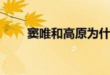 窦唯和高原为什么离婚（什么原因）