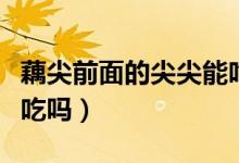 藕尖前面的尖尖能吃吗（藕尖最顶头那节可以吃吗）