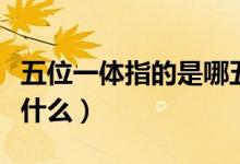 五位一体指的是哪五个方面（五位一体指的是什么）