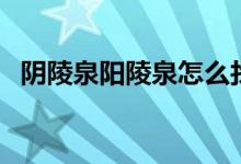 阴陵泉阳陵泉怎么找（阴陵泉有哪些找法）