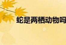 蛇是两栖动物吗（蛇是两栖动物吗）