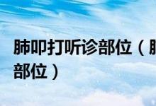 肺叩打听诊部位（肺部叩诊听诊各几个点以及部位）