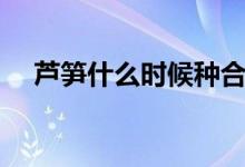 芦笋什么时候种合适（芦笋什么时候种）