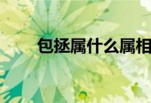 包拯属什么属相（包拯属什么生肖）