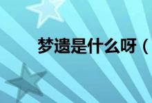 梦遗是什么呀（梦遗是什么意思啊）