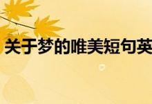 关于梦的唯美短句英文（关于梦的唯美语录）