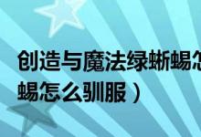 创造与魔法绿蜥蜴怎么驯服（创造与魔法绿蜥蜴怎么驯服）