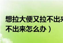 想拉大便又拉不出来是便秘吗（想拉大便又拉不出来怎么办）