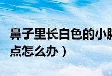 鼻子里长白色的小脓点（鼻子里长白色的小脓点怎么办）