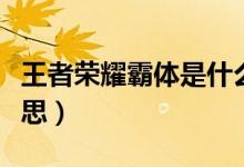 王者荣耀霸体是什么（王者荣耀霸体是什么意思）