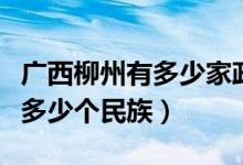 广西柳州有多少家政府平台公司（广西柳州有多少个民族）