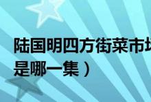 陆国明四方街菜市场视频（陆国民四方菜市场是哪一集）