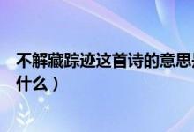 不解藏踪迹这首诗的意思是什么（不解藏踪迹的下一句诗是什么）