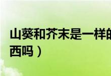 山葵和芥末是一样的吗（山葵和芥末是一种东西吗）