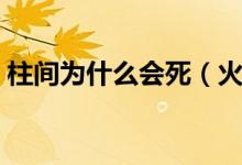 柱间为什么会死（火影忍者柱间是怎么死的）