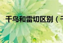 千鸟和雷切区别（千鸟和雷切区别是什么）