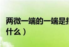 两微一端的一端是指什么（两微一端的一端指什么）