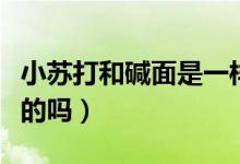 小苏打和碱面是一样吗（小苏打和碱面是一样的吗）