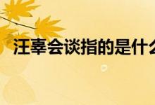 汪辜会谈指的是什么（汪辜会谈指的是谁）