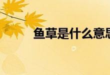 鱼草是什么意思（鱼草是什么草）