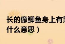 长的像鲫鱼身上有黑色条纹的鱼（cdx交友是什么意思）