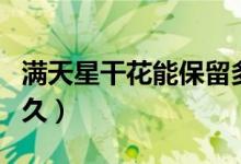 满天星干花能保留多久（满天星干花能保存多久）