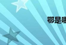 鄂是哪里的车牌