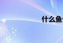 什么鱼俗称开背鱼