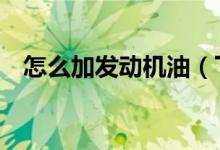 怎么加发动机油（下面6个步骤帮你解决）