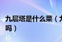 九层塔是什么菜（九层塔是什么样的菜大陆有吗）