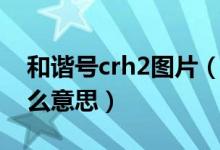 和谐号crh2图片（和谐号上的印的CRH是什么意思）