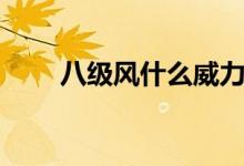八级风什么威力（八级风什么概念）