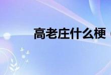 高老庄什么梗（高老庄什么意思）