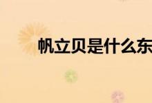 帆立贝是什么东西（帆立贝是什么）