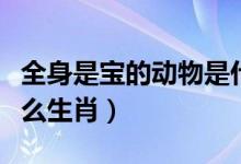 全身是宝的动物是什么（全身是宝的动物是什么生肖）