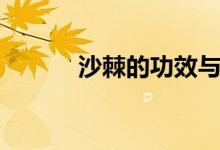 沙棘的功效与作用（你知道吗）