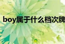 boy属于什么档次牌子（boy属于奢侈品吗）