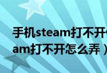 手机steam打不开偏好设置怎么办（手机steam打不开怎么弄）